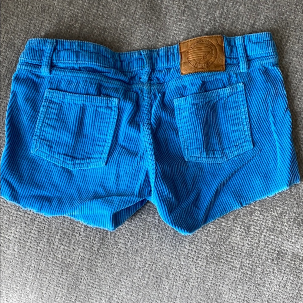 Aviator nation shorts